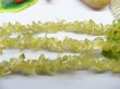 (image for) 10 Strands Light Yellow Glass Loose Beads ls-c71