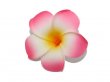 30 New Red & Yellow Fabulous Foam Frangipani Flower 8x3.5cm