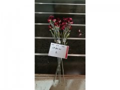 5Pcs Red Flower 58cm Long we-flo184 5Pcs Red Flower 58cm Long we-flo184