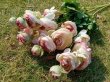6Pcs Peonies Artificial Flower Decoration (image for) 6Pcs Peonies Artificial Flower Decoration