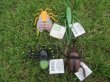 6Pcs Vivid Collectible Big Insects Gross Insectes Great Toy (image for) 6Pcs Vivid Collectible Big Insects Gross Insectes Great Toy
