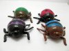 12X Funny Squishy Beetle Sticky Venting Toy for Kids
