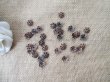 (image for) 500Pcs Bronze Plated Antique Filigree Flower Beads Caps Jeweller