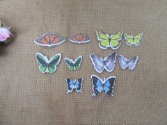500Pcs Realistic Different Types of Butterflies Foam Back 500Pcs Realistic Different Types of Butterflies Foam Back