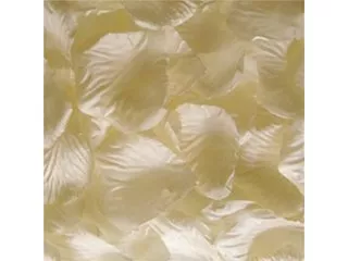 1000X Rose Petals Wedding Party Decoration - Ivory