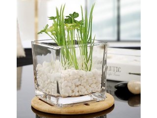 4X Wedding Clear Glass Cube Square Table Flower Vases 10x10cm