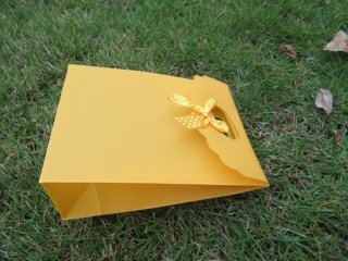 12Pcs New Orange Gift Bag for Wedding 16.3x12cm