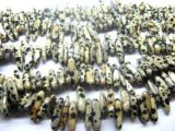 Dalmatian Jasper Chips