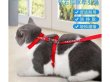 (image for) 2Pcs Pet Cat Walking Harness Leash Safety Clip Adjustable Collar