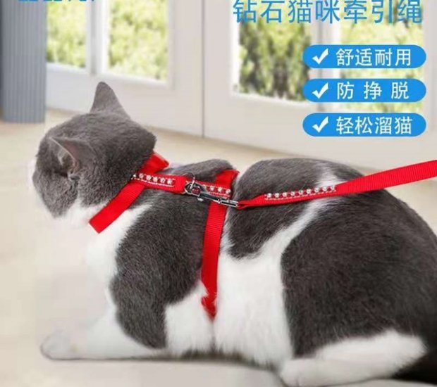 2Pcs Pet Cat Walking Harness Leash Safety Clip Adjustable Collar - Click Image to Close
