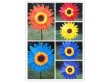 (image for) 5Pcs Colorful Exciting Sunflower Windmill Great Toy Garden Decor