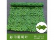 1Pc Artificial Grape Ivy Leaf Wall Hedge Fence Screen Protect Co