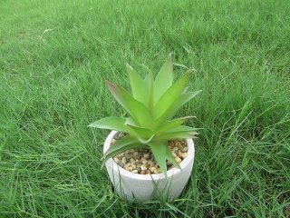 11Pcs Artificial Succulent Flower Potted Plants Centerpieces