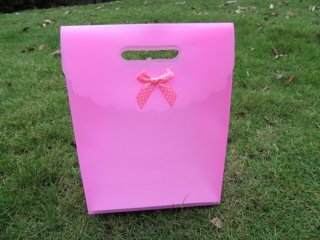 12 New Pink Gift Bag for Wedding 26x19.3cm