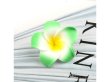 (image for) 30 New Green & Yellow Fabulous Foam Frangipani Flower 8x3.5cm