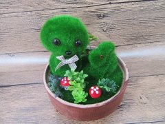 4Set Flower Pot with Plants Bear Etc. Home Decor 4Set Flower Pot with Plants Bear Etc. Home Decor