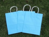 48 Bulk Kraft Paper Gift Carry Shopping Bag 33x26x12cm Light Blu