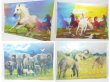 (image for) 10Pcs Amazing 3D Lenticular Art Photo Picture 28x39cm Assorted