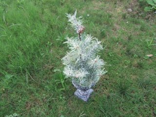 1Pc Light Up Centerpiece Artificial Christmas Tree Home Decor (image for) 1Pc Light Up Centerpiece Artificial Christmas Tree Home Decor