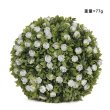 (image for) 1X Artificial White Topiary Boxwood Ball Wedding Decor 20cm