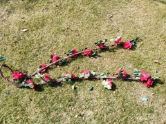 (image for) 1Pc Red Rose Garland Vine Thicker String Home Decor