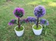 (image for) 6Pcs Artificial Flower Plants In Pot Home Garden Party Decoratio