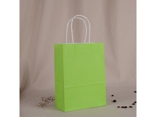 48 Bulk Kraft Paper Gift Carry Shopping Bag 21x15x8cm Green
