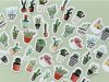 10Packets X 45Pcs Creative Flower Cactus Plant Transparent Decor 10Packets X 45Pcs Creative Flower Cactus Plant Transparent Decor