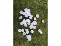 6Packs x 170pcs Rose Petals Wedding Party Decoration - White