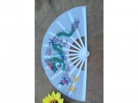 1X Chinese Dragon Martial Kung Fu Tai Chi Dance Fan White