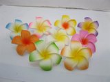 Foam Flower
