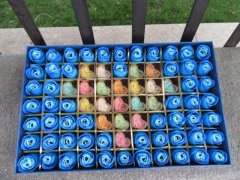 1Boxes x 53 Blue Rose Buds Lover Mother Teacher Gift W/Case