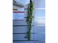 4X Greenery Ivy Leaves Garland Decoration Wall Hanging 86cm Long