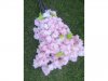 6Branch x 4Heads Cherry Blossom Sakura Artificial Flower Decor 6Branch x 4Heads Cherry Blossom Sakura Artificial Flower Decor