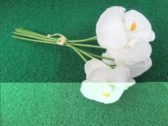 1Bundle X 7Pcs White Artificial Iris Japonica Flowers Foral 1Bundle X 7Pcs White Artificial Iris Japonica Flowers Foral