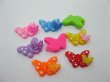 (image for) 250Pcs Flatback Embellishment Jewelry Finding-Double Butterfly