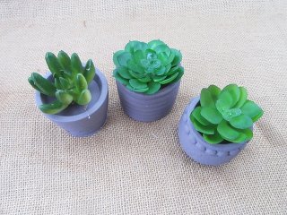 24Pcs Flower Pot Succulent Plant Flower Pot Desktop Office Home (image for) 24Pcs Flower Pot Succulent Plant Flower Pot Desktop Office Home