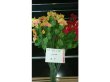 5Pcs Red Yellow Flower 62cm Long we-flo178 (image for) 5Pcs Red Yellow Flower 62cm Long we-flo178