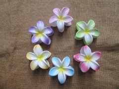 (image for) 2x6Pcs Frangipani Hair Claw Clamp Clip Barette Hair Accessories