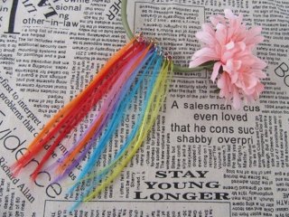 100 Spring Clip in Hair Extensions 200mm Mixed Color bh-w31 (image for) 100 Spring Clip in Hair Extensions 200mm Mixed Color bh-w31