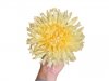 12Pcs Artificial Yellow Chrysanthemum Flower Head Buds Floral 12Pcs Artificial Yellow Chrysanthemum Flower Head Buds Floral