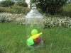 1X Wedding Event Lolly Candy Buffet Apothecary Jar 40.5cm High 1X Wedding Event Lolly Candy Buffet Apothecary Jar 40.5cm High