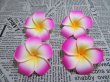 (image for) 30 New Pink Fabulous Foam Frangipani Flower 8x3.5cm