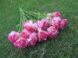 (image for) 6Pcs Carnation Artificial Flower Home Decoration - Hot Pink