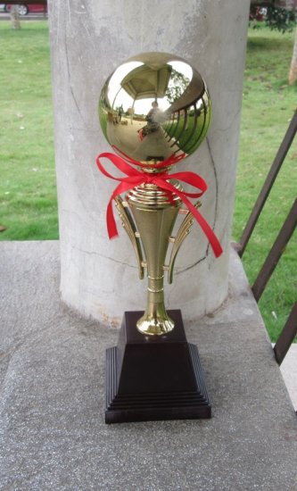 1Pc Golden Plated Trophy Cup Novelty Achievement Award 34cm High - Click Image to Close
