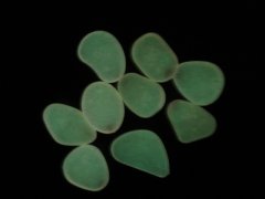 (image for) 100 Glow in The Dark Stones Pink Pebbles Rock Fish Home Garden