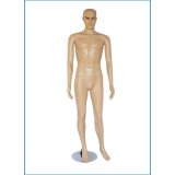 (image for) Male