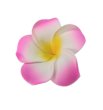 50 New Pink Fabulous Foam Frangipani Flower 5x2cm (image for) 50 New Pink Fabulous Foam Frangipani Flower 5x2cm