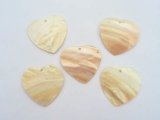 Shell Pendants