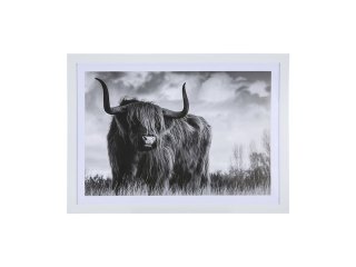 1Pc Scottish Highland Cow Print Art Poster Wall Decor Framed
